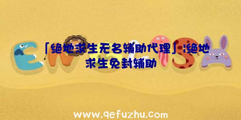 「绝地求生无名辅助代理」|绝地求生免封辅助